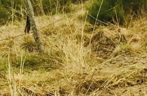 Arzenc-de-Randon House | Vrbo Property