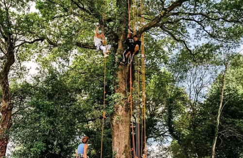 Caro House | Vrbo Property