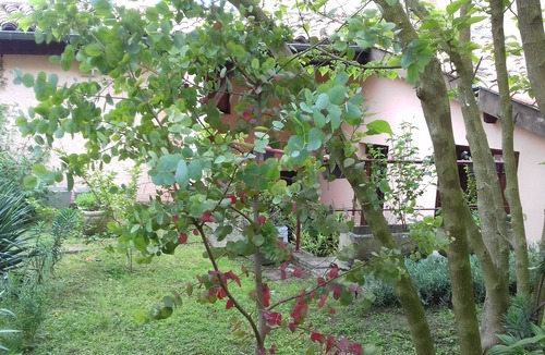 Colomiers Apartment | Vrbo Property