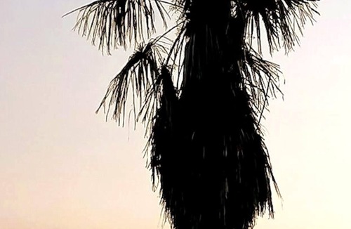 Montech Apartment | Vrbo Property