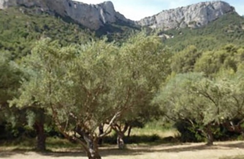 Robion Villa | Vrbo Property