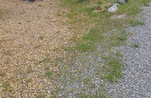 Rochebrune House | Vrbo Property