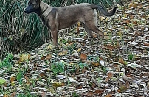 Saint-Thual House | Vrbo Property