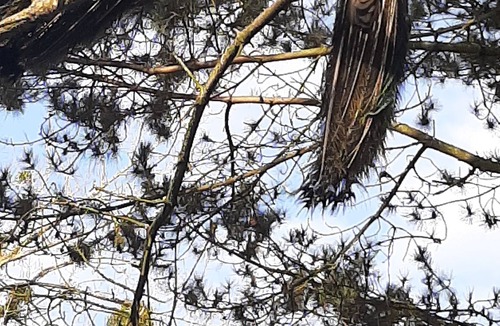 Saint-Thual House | Vrbo Property