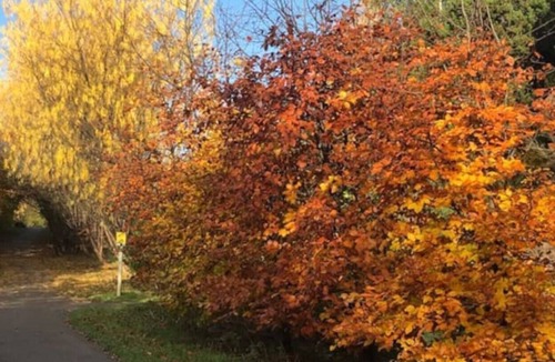 Cromarty Firth Cabin | Vrbo Property