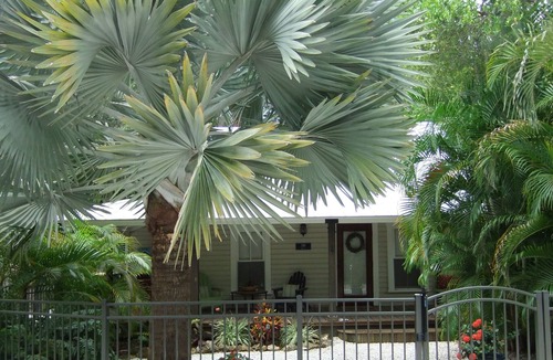 Ozona Cottage | Vrbo Property