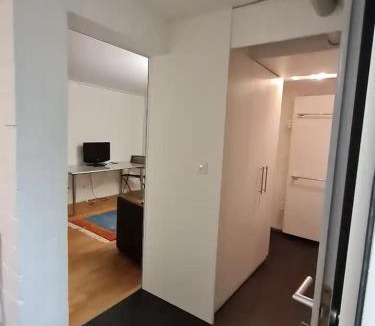 Schwanden House | Vreneli
