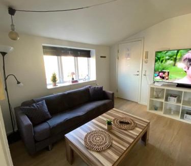 Kolding Apartment | Vshus Apartment-2 Bedrooms near city center