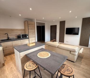 Belfort Apartment | Vue imprenable - Place de la République