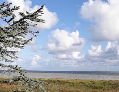 Cherrueix House | Vue mer pour une escale en baie du Mt-St-Michel
