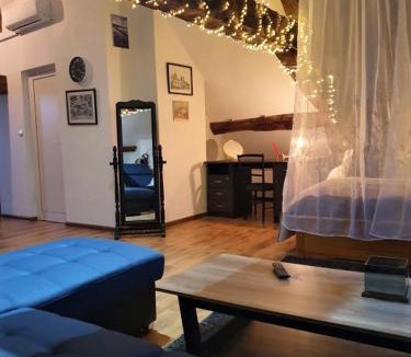Saumur Apartment | Vue splendide sur Chateau