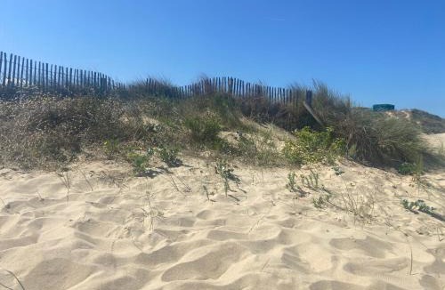 Bleriot-Plage Apartment | Vue sur dunes !