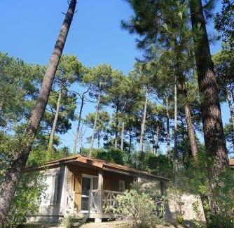 Moliets-et-Maa Resort | VVF Landes Moliets