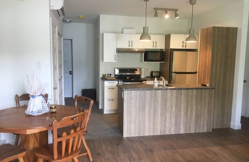 Saint-Gabriel-de-Valcartier Ski Chalet | Waterfront cottage - Ideal for families and groups