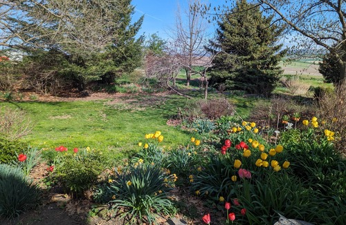 Lewiston House | Waha View Home