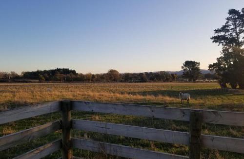 Carterton House | Waihakeke Cottage