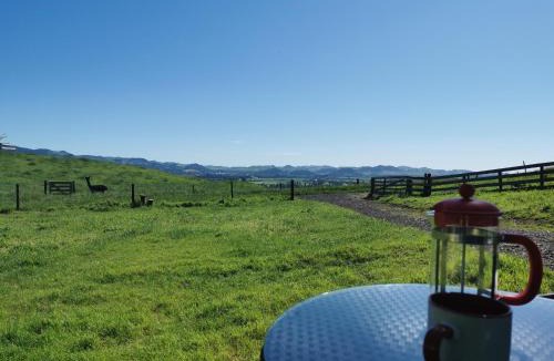 Waihi House | Waihi Gold Alpacas 3 or 4 people
