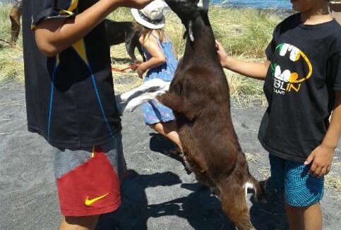 Ngawi Resort | Waimeha Camping Village