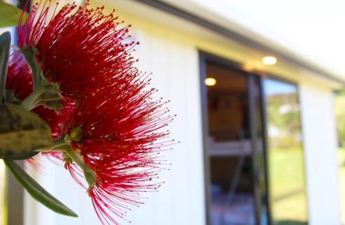 Paihia Resort | Waitangi Holiday Park