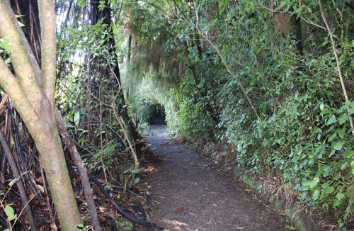 Waitomo Caves Bed & Breakfast | Waitomo Caves Guest Lodge