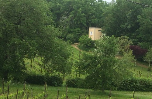 Veyrines-de-Domme House | Wake up between the vineyards in the Dordogne