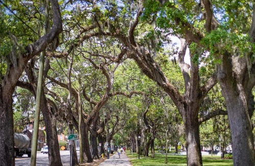 Historic District - North House | Wakefield Cottage by Lucky Savannah