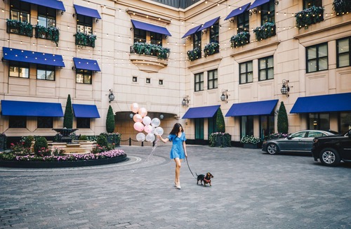 Rush and Division Hotel | Waldorf Astoria Chicago