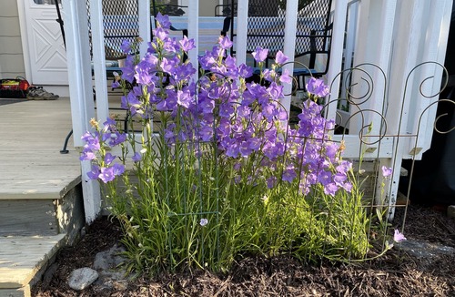 Newport East House | Walk to Beach and Restaurants!