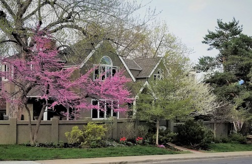 Lower Chautauqua House | Walk to Chautauqua Park & CU/4-5 Bedroom Home