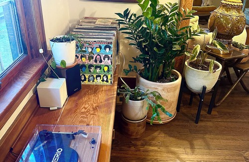 Overlook House | Walk to Coffee & Eat, Vinyl, Backyard, Fireplace