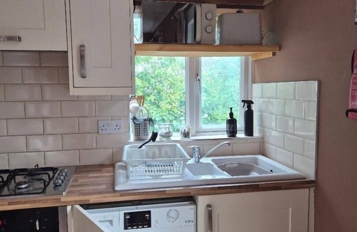 Selhurst Apartment | Walk to East Croydon Station, 15 min direct train to Gatwick and Central London