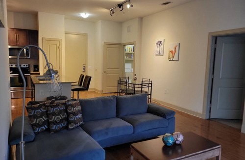 Texas Medical Center Apartment | Walk to NRG | Drive to Med Center, 2 bed/2bath w/Courtyard View - King Beds
