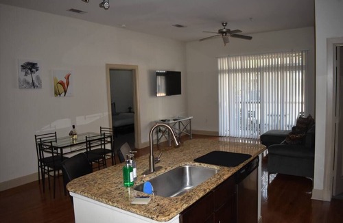 Texas Medical Center Apartment | Walk to NRG | Drive to Med Center, 2 bed/2bath w/Courtyard View - King Beds
