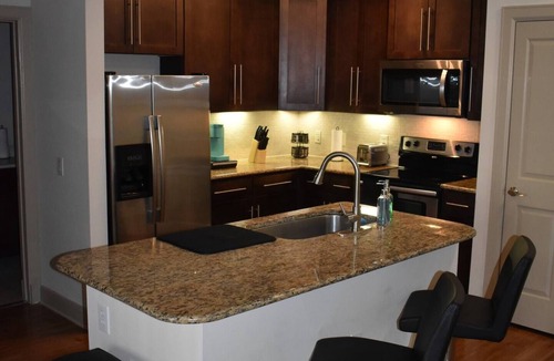 Texas Medical Center Apartment | Walk to NRG | Drive to Med Center, 2 bed/2bath w/Courtyard View - King Beds