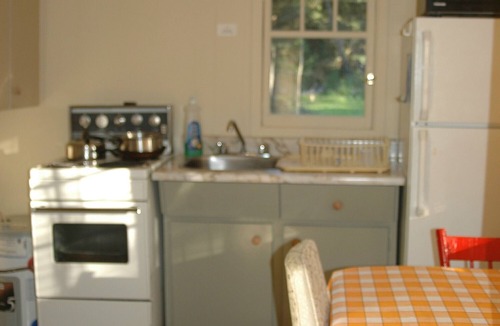 Balm Beach Cabin | walk to private beach across the street -2BR Cozy Forest Cabin -amazing sunsets
