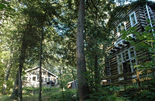 Balm Beach Cabin | walk to private beach across the street -2BR Cozy Forest Cabin -amazing sunsets