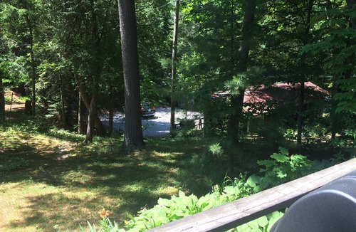 Balm Beach Cabin | walk to private beach across the street -2BR Cozy Forest Cabin -amazing sunsets