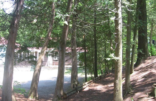 Tiny Cabin | walk to private beach across the street - 2 BR Cabin - amazing sunsets