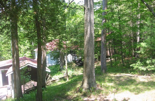 Tiny Cabin | walk to private beach across the street - 2 BR Cabin - amazing sunsets