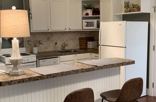 Denton Apartment | Walk to UNT or short drive to 3 hospitals for medical staff