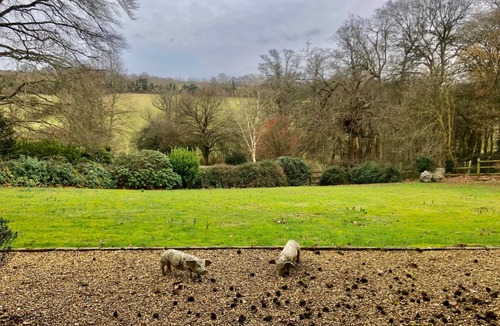 Rotherfield Greys Apartment | Walkers Countryside Retreat