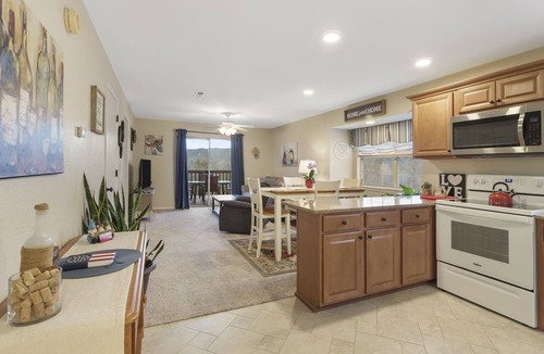 Indian Point Condo | Walkin 2BR,2 Bath. condo, beautiful view of Table Rock Lake and the Ozark Mtns.