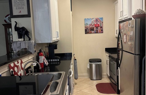 Tuscaloosa Condo | Walking Distance to UA Campus and Stadium at Houndstooth