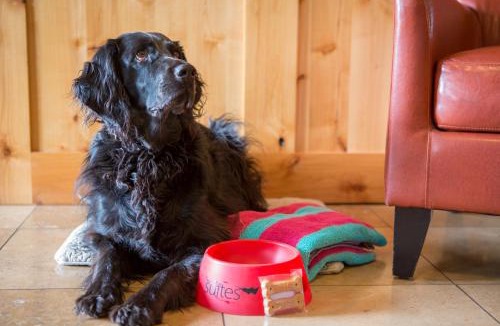 Bend Hotel | Wall Street Suites