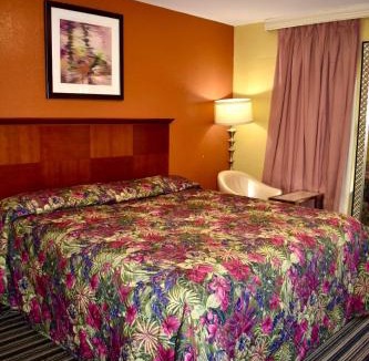 Walnut Forest Hotel | Walnut Forest Motel
