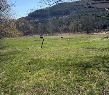 Windham Villa | Walnut Grove