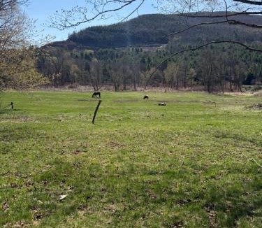 Windham Villa | Walnut Grove