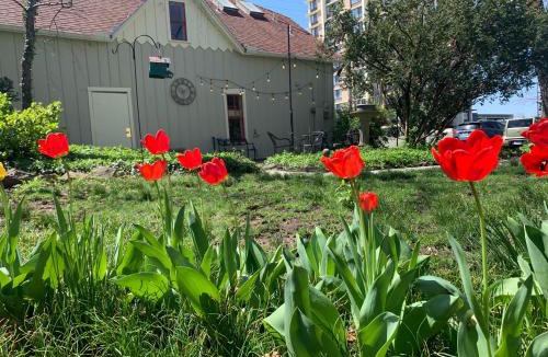 Walnut Street Bed & Breakfast | Walnut Street Inn