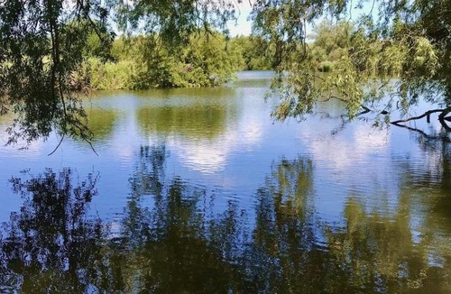 Westbere Other | Walnut Tree Glamping