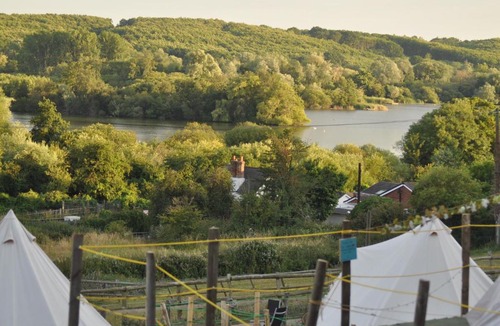 Westbere Other | Walnut Tree Glamping